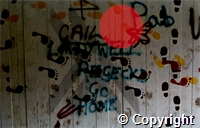 10\75bd3a-6b92-4798-9339-015cf76c1476.tif