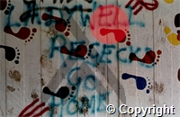 61\ea4d10-9a7b-4029-9fae-9be8ebeb547f.tif