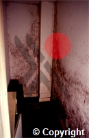 e2\84baf1-7db0-464b-bbc7-b0dd3c08052e.tif